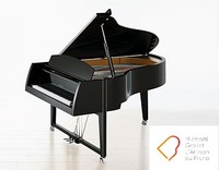 Artisan du piano